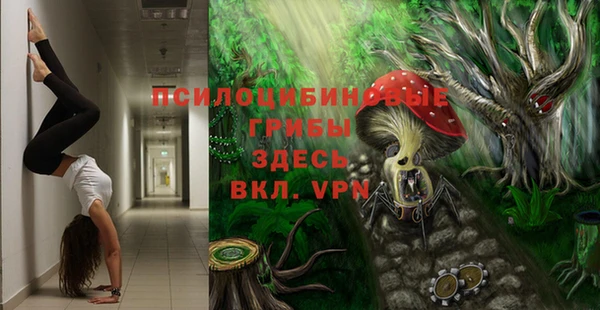 spice Белоозёрский