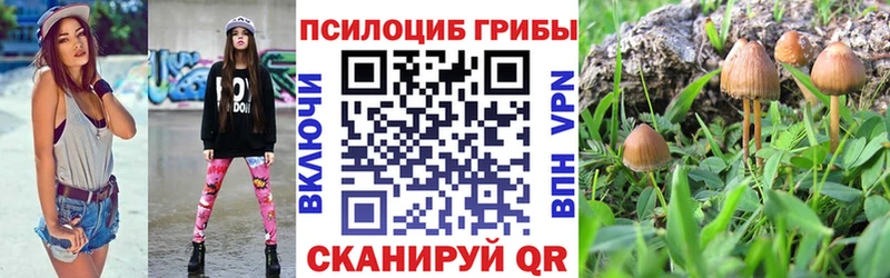 сайты даркнета формула  Южа  Галлюциногенные грибы Magic Shrooms  купить наркотик 